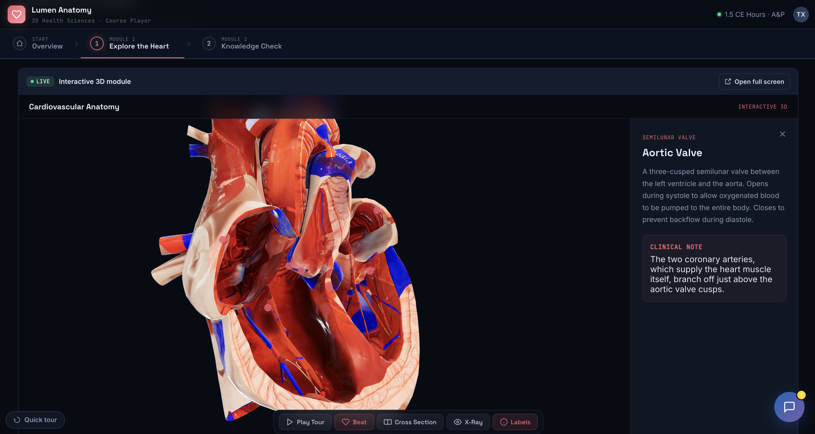Interactive 3D cardiovascular anatomy course — an explorable, rotatable 3D heart embedded in an LMS-style lesson for medical schools, nursing programs, and health-sciences e-learning, built by Tommy at xImmersion